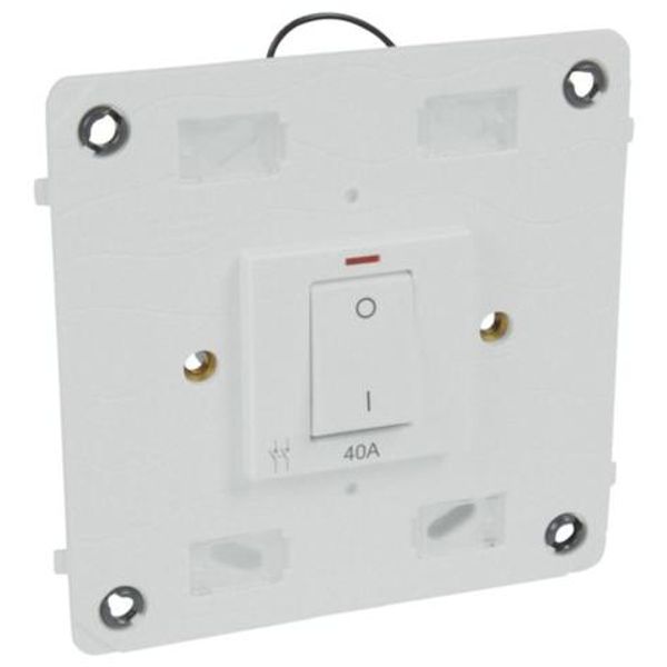 Double pole switch Arteor - with neon - 40 A 250 V~ - 4''x4'' - soft alu image 1