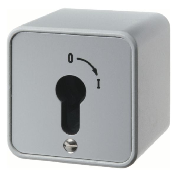 Change-over switch 2p impr. surf.-mtd f.lock cyl., screw term., Die-ca image 1