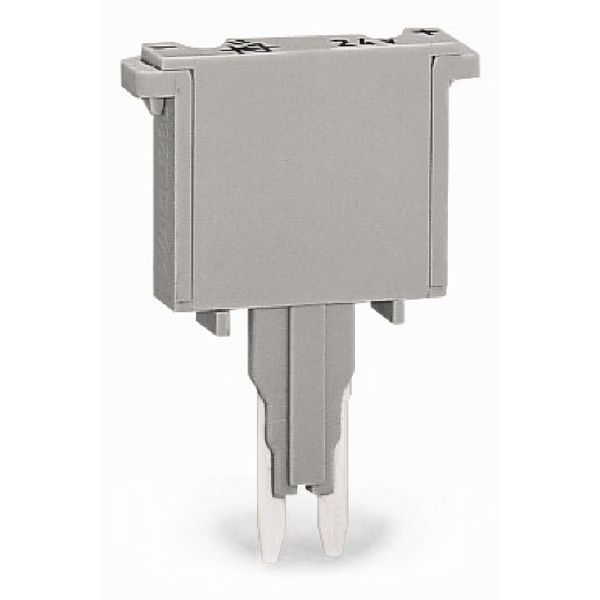 Fuse plug with soldered miniature fuse 500 mA FF gray image 1