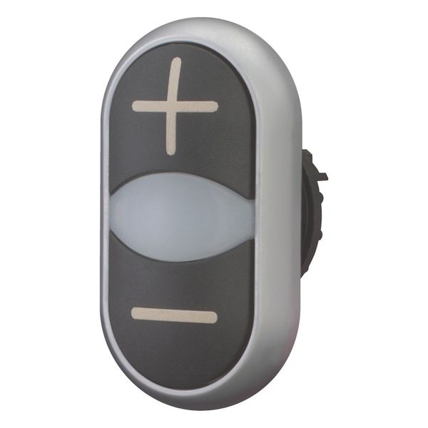 Double actuator pushbutton, RMQ-Titan, Actuators and indicator lights non-flush, momentary, White lens, black, black, inscribed, Bezel: titanium, arro image 5