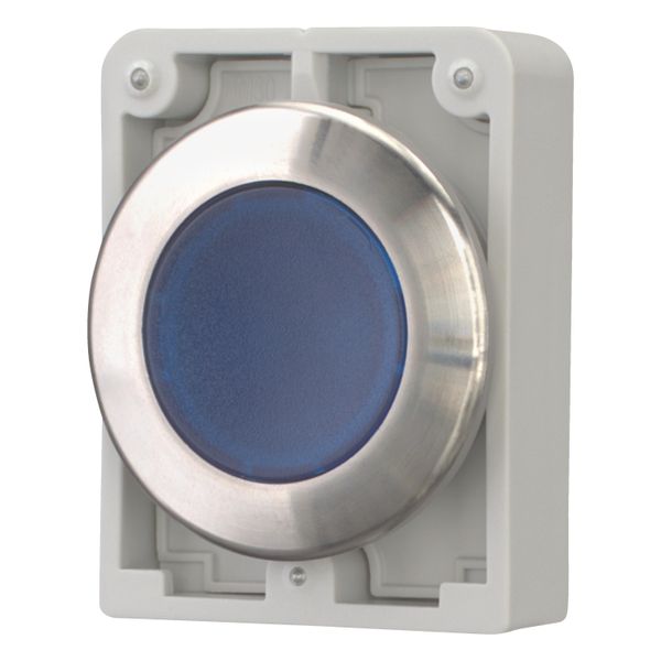 Illuminated pushbutton actuator, RMQ-Titan, flat, maintained, Blue, blank, Front ring stainless steel image 9