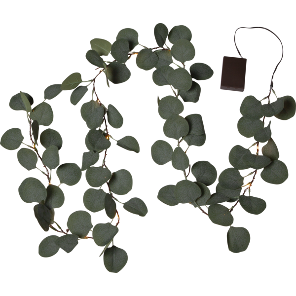 Garland Eucalyptus image 2
