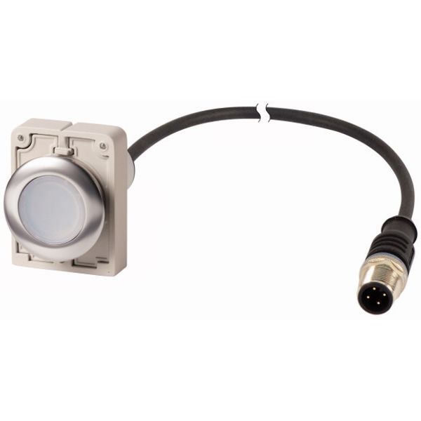 Illuminated pushbutton actuator, Flat, maintained, 1 N/O, Cable (black) with M12A plug, 4 pole, 1 m, LED white, White, Blank, 24 V AC/DC, Metal bezel image 1