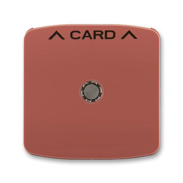 3559A-A00700 R2 Card switch cover plate image 1