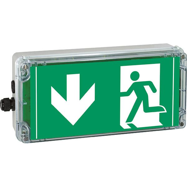 Ex-escape sign luminaires EXIT V-CG-S for emergency light function for zone 1/21, Pictogram: DIN ISO 7010, Arrow: 6 Clock image 2