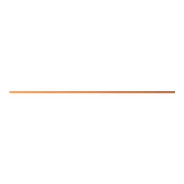 ZX1082 12 mm x 850 mm x 5 mm , 3 image 3