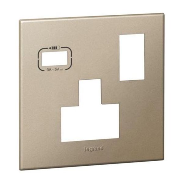 575146A Plate 1 gang multistandard switched socket + USB A champagne image 1