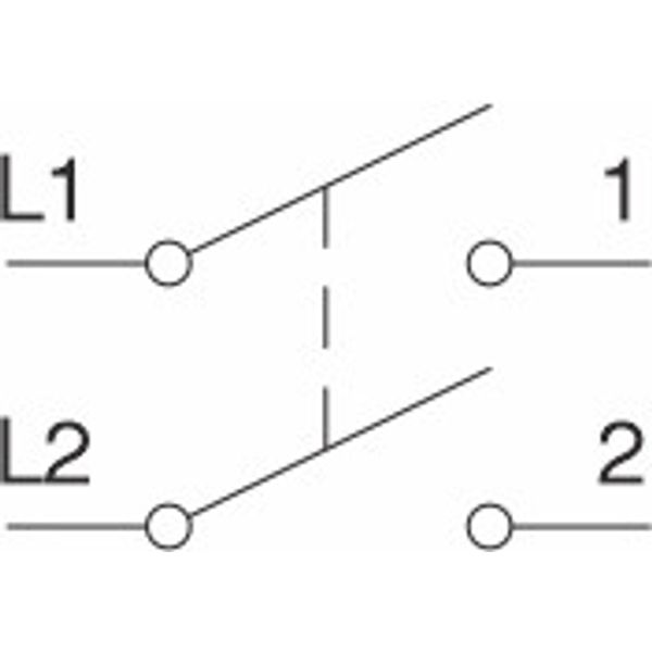 SWITCH 2POLE 16AX 250V~ 1M AT NT 03 4315734 image 2