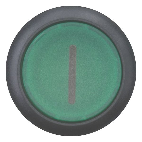 Illuminated pushbutton actuator, RMQ-Titan, Flush, momentary, green, inscribed, Bezel: black image 4