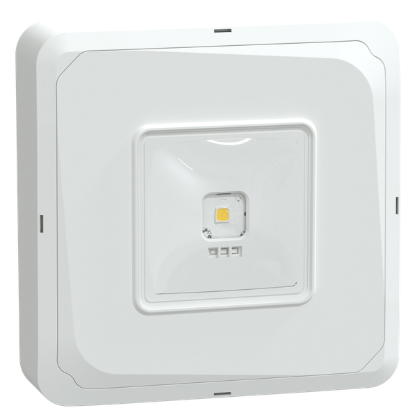 Emergency lighting, exiway, exiway smartbeam, EPC Control, IP65, white image 4