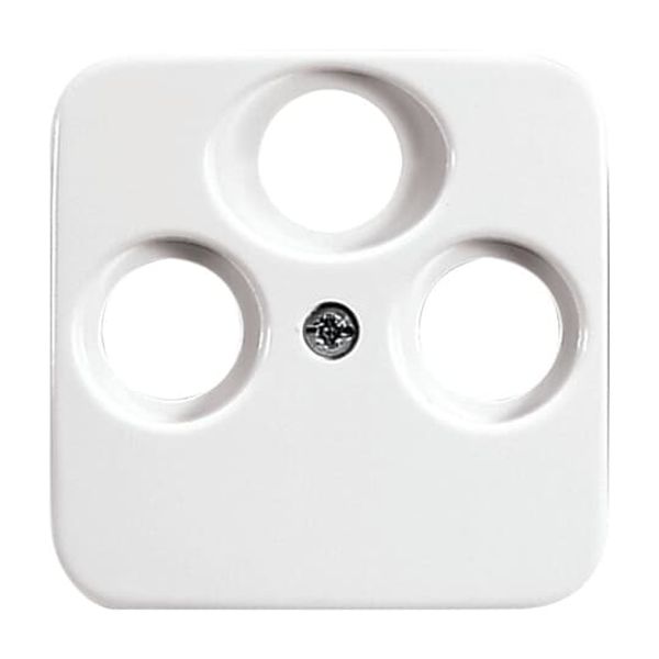 1743-03-214 CoverPlates (partly incl. Insert) carat® Alpine white image 3