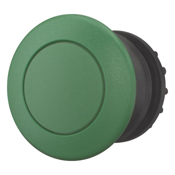 Mushroom actuator, RMQ-Titan, Mushroom, maintained, Mushroom green, green, Blank, Bezel: black image 2