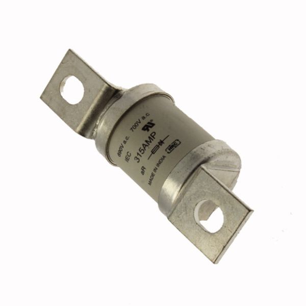 Fuse-link, LV, 315 A, AC 500 V, NH03, gL/gG, IEC, dual indicator, live gripping lugs image 7