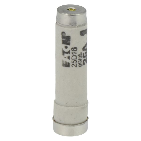 Fuse-link, LV, 25 A, AC 500 V, D1, gL/gG, IEC, time-delay image 14