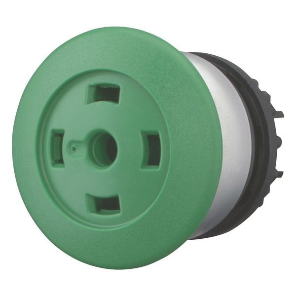 Mushroom actuator, RMQ-Titan, Mushroom, maintained, Mushroom green, Without button plate, Without, Bezel: titanium image 11