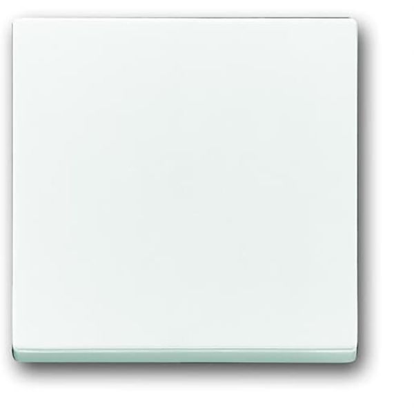 1786-84 CoverPlates (partly incl. Insert) future®, Busch-axcent®, solo®; carat® Studio white image 1