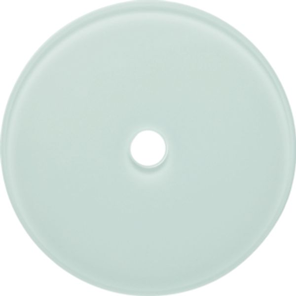 Glass cover plate for rot. switch/spring-return push-button, glass image 1