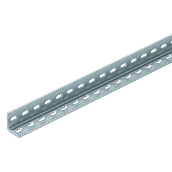 WP 30 35 2000 FT Angle profile perforated 30x35x2000 image 1