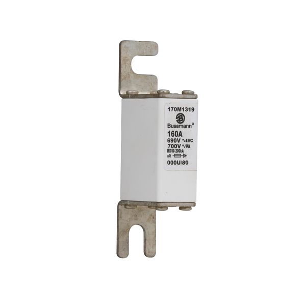 Fuse-link, high speed, 160 A, AC 690 V, DIN 000, 21 x 40 x 100 mm, aR, DIN, IEC image 10