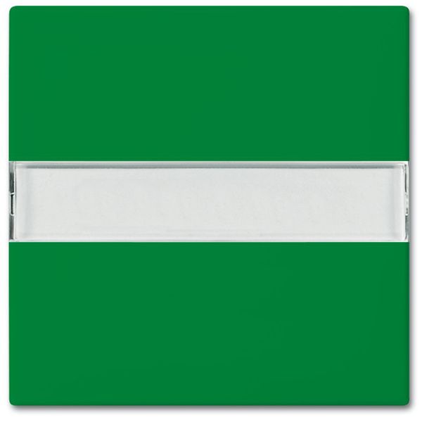 2510 NLI-13-914 CoverPlates (partly incl. Insert) Busch-balance® SI green image 1