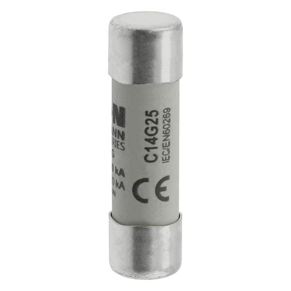Fuse-link, LV, 25 A, AC 690 V, 14 x 51 mm, gL/gG, IEC image 9