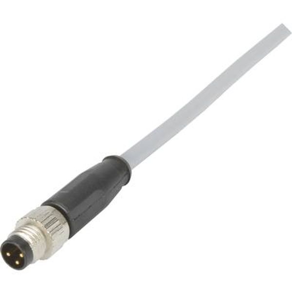 M8 Cable Assembly 3-poles st/- m/- 1,0m image 1