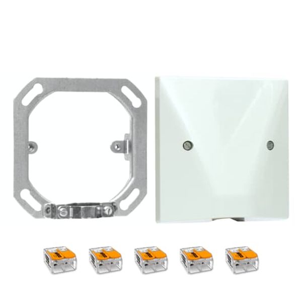 1716-84 CoverPlates (partly incl. Insert) future®, Busch-axcent®, solo®; carat® Studio white image 4