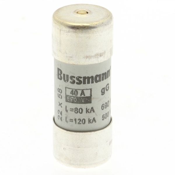 Fuse-link, LV, 40 A, AC 690 V, 22 x 58 mm, gL/gG, IEC, with striker image 2