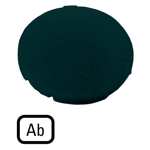 Button plate, flat black, AB image 1