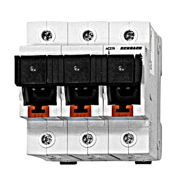 TYTAN II, D02 Fuse switch disconnector, 3-pole, complete 63A image 1