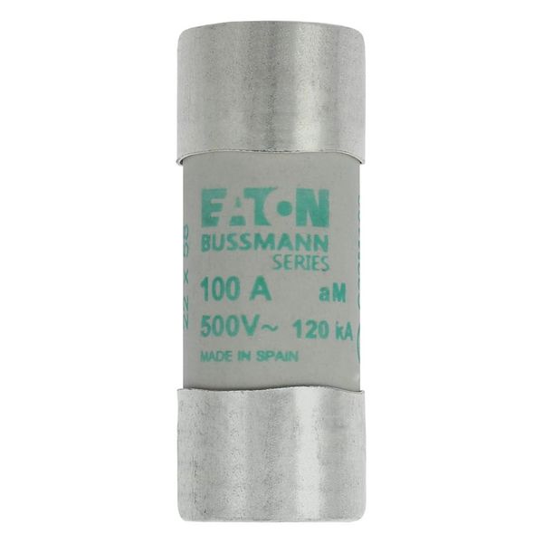 Fuse-link, LV, 100 A, AC 500 V, 22 x 58 mm, aM, IEC image 6