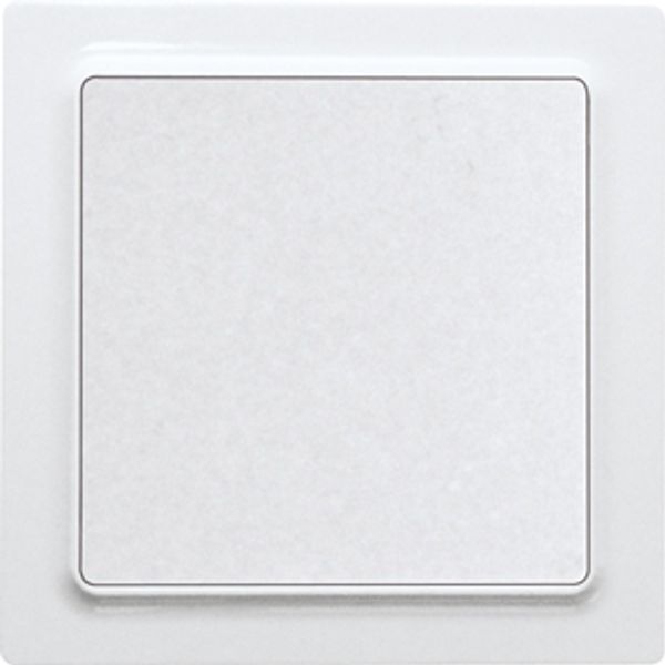 Rocker pushbutton in E-Design55, pure white glossy image 1