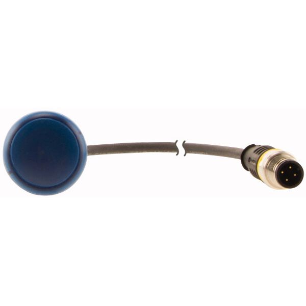 Indicator light, Flat, Cable (black) with M12A plug, 4 pole, 0.2 m, Lens Blue, LED Blue, 24 V AC/DC image 2
