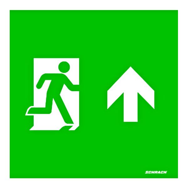 Adhesive pictogram arrow up for WFX image 1