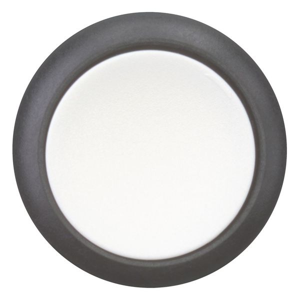 Pushbutton, RMQ-Titan, Flat, momentary, White, Blank, Bezel: black image 3