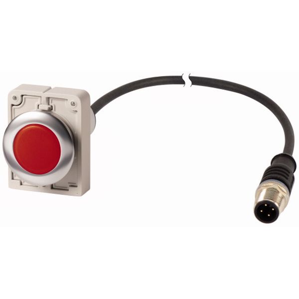 Indicator light, Flat, Cable (black) with M12A plug, 4 pole, 1 m, Lens Red, LED Red, 24 V AC/DC image 1