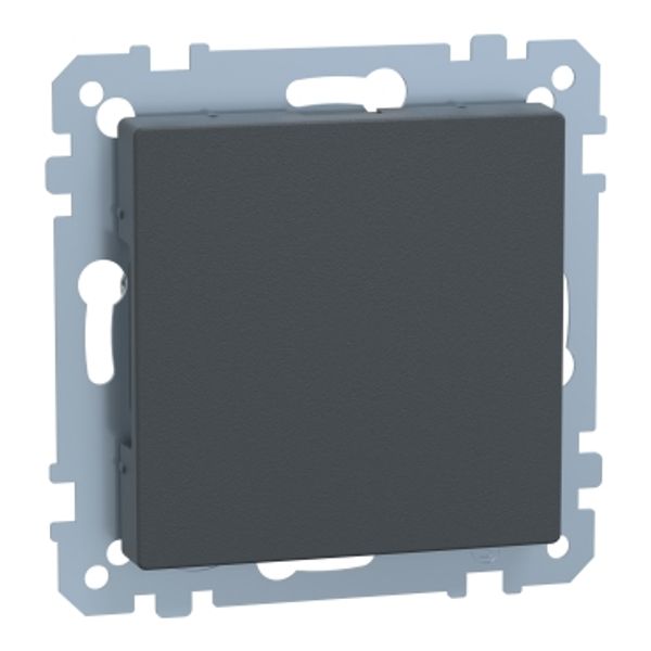 Blanking cover, anthracite, System M image 3