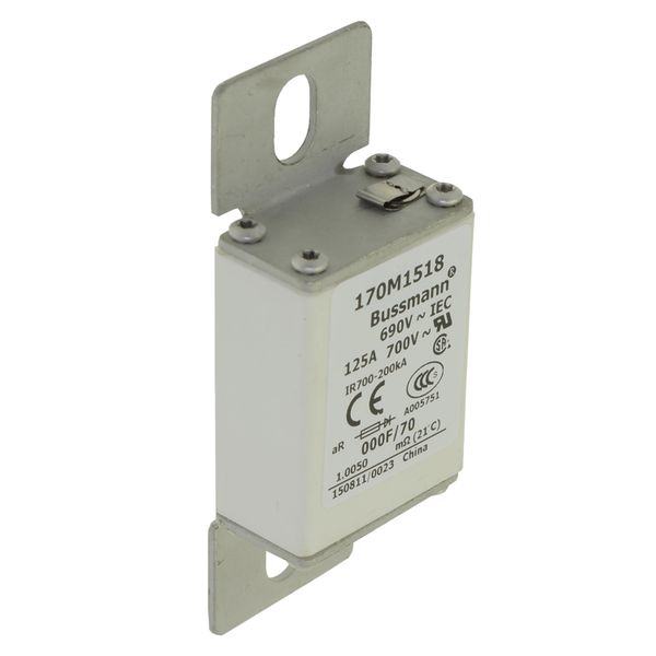 Fuse-link, high speed, 110 A, AC 660 V, size 000, 24 x 36 x 96 mm, aR, IEC, visual indicator image 12