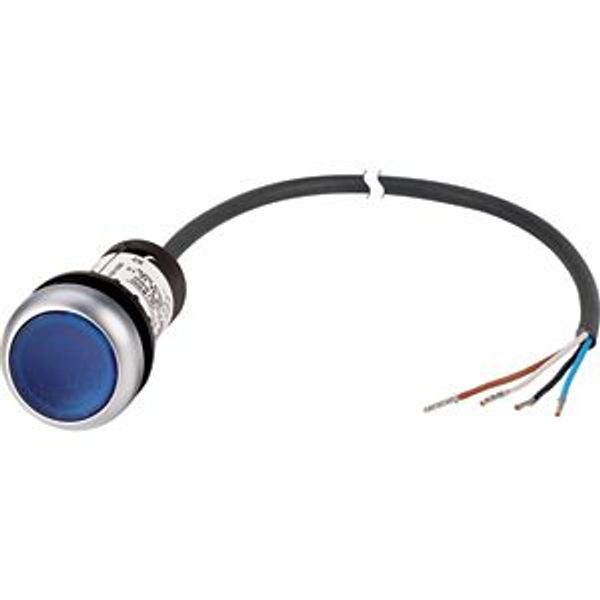 Illuminated pushbutton actuator, classic, flat, maintained, 1 N/O, blue, 24 V AC/DC, cable (black) with non-terminated end, 4 pole, 1 m image 5