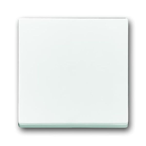 786-84-500 Cover Plates (partly incl. Insert) Switch/push button Single rocker Without imprint studio white - 63x63 image 1