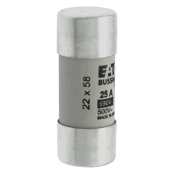 Fuse-link, LV, 25 A, AC 690 V, 22 x 58 mm, gL/gG, IEC image 20
