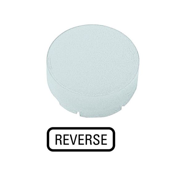 Button lens, raised white, REVERSE image 4