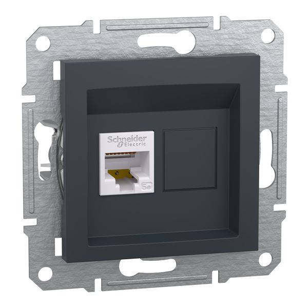 Asfora - Data socket cat5e STP, wo frame, anthracite image 3