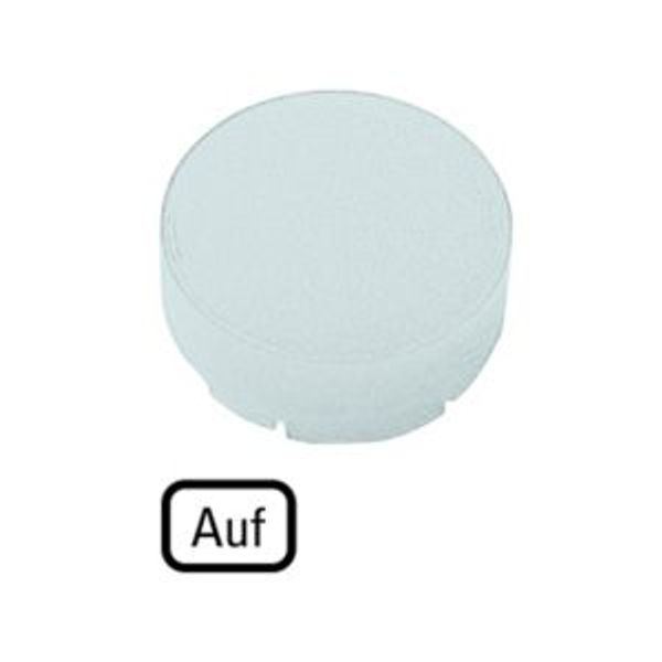 Button lens, raised white, AUF image 2