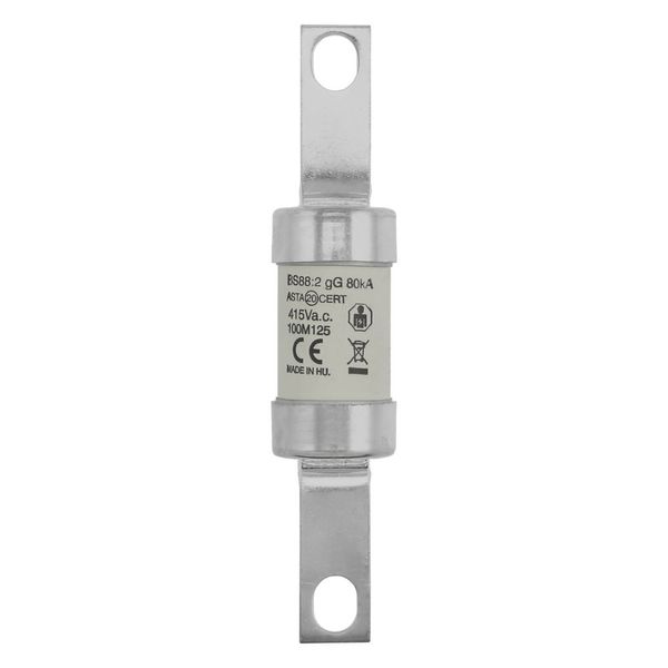 Fuse-link, LV, 100 A, AC 415 V, BS88/B1, 26 x 126 mm, gM, BS, 100M125 image 11