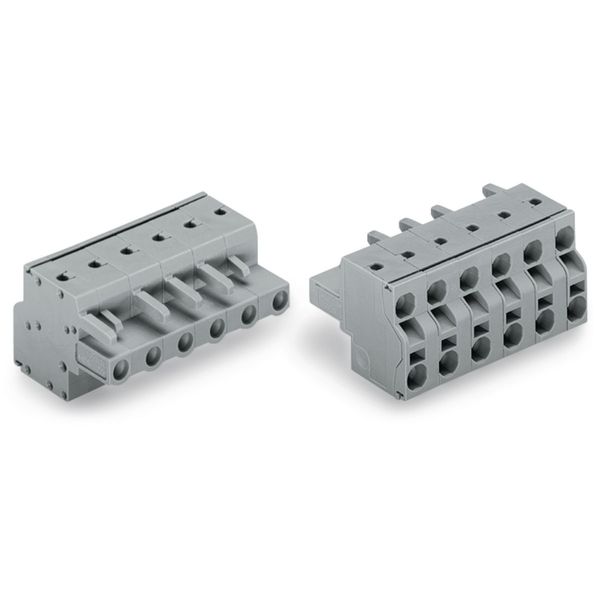 2-conductor female connector Push-in CAGE CLAMP® 2.5 mm² gray image 3