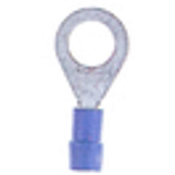 Insulated ring connector terminal M8 blue, 1.5-2.5mmý image 2