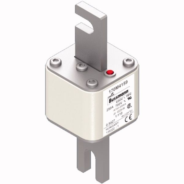 Fuse-link, high speed, 250 A, AC 690 V, DIN 1, 53 x 66 x 138 mm, aR, DIN, IEC, single indicator image 2