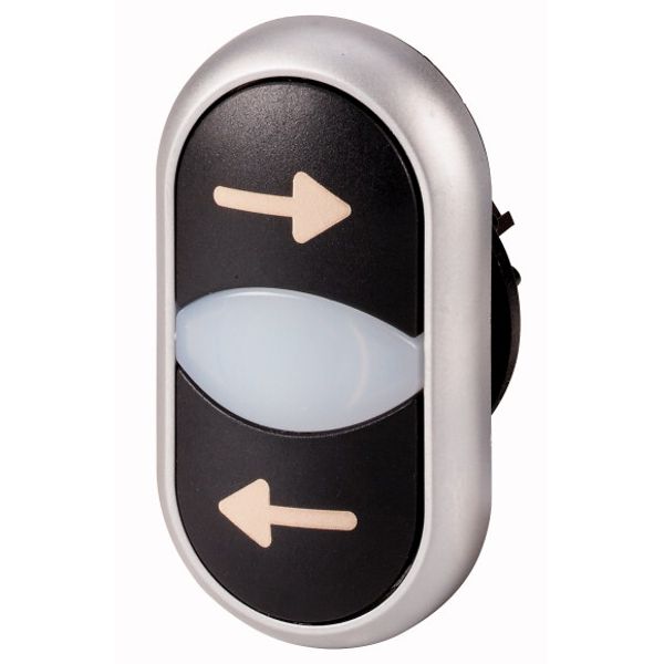 Double actuator pushbutton, RMQ-Titan, Actuators and indicator lights non-flush, momentary, White lens, black, black, inscribed, Bezel: titanium, arro image 1