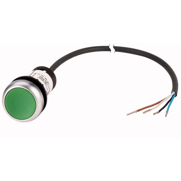 Pushbutton, classic, flat, maintained, 1 N/O, green, cable (black) with non-terminated end, 4 pole, 1 m image 1